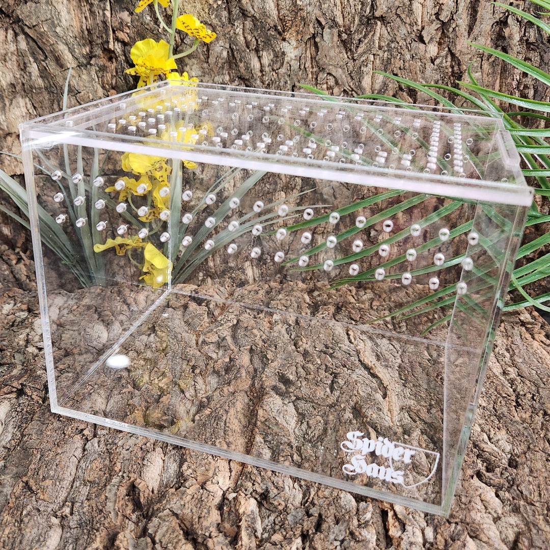 Spider Haus 8x6x6" Terrestrial