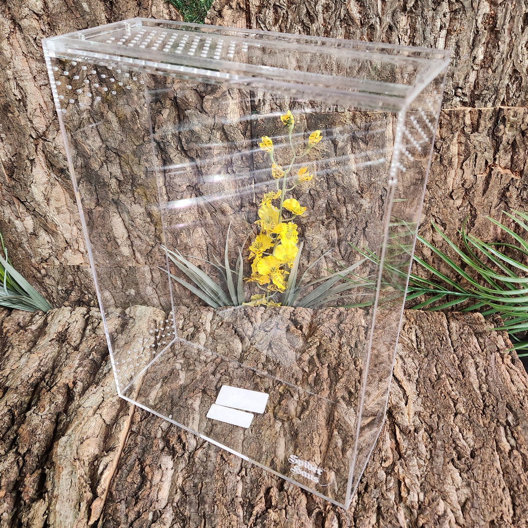 Spider Haus Haplotank 4x12x14"