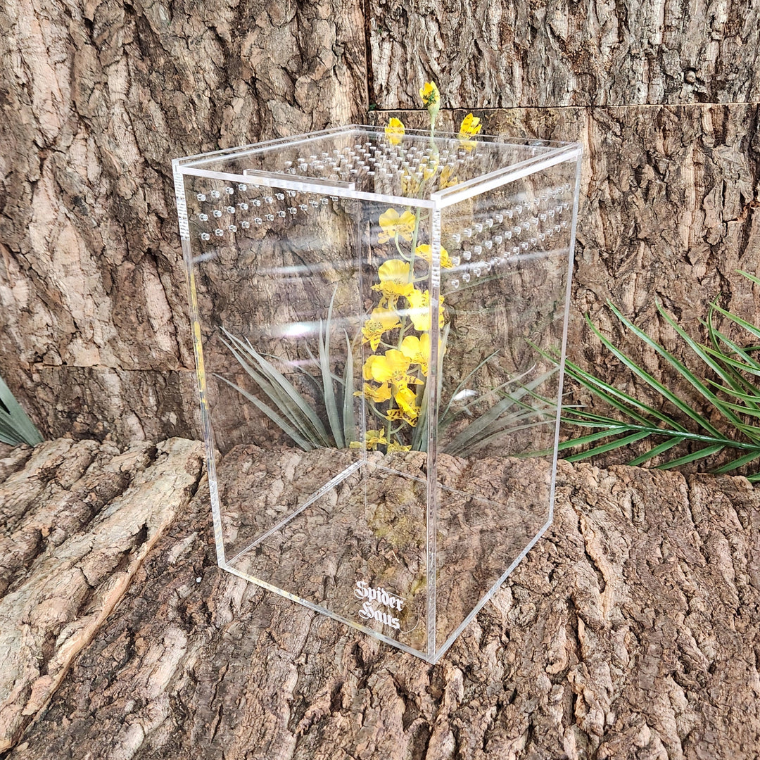 Spider Haus 6x6x9" Arboreal/ Fossorial