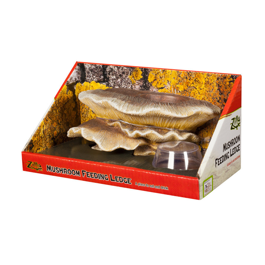 Zilla Vertical Décor Mushroom Feeding Ledge