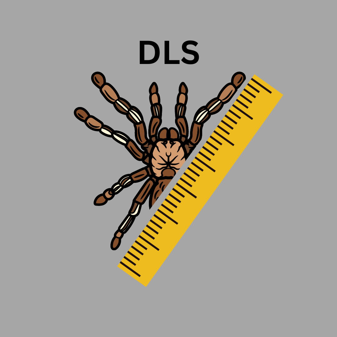 Diagonal Leg Span - Measuring Your Tarantula