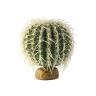 Exo Terra Standing Plants