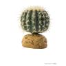 Exo Terra Standing Plants