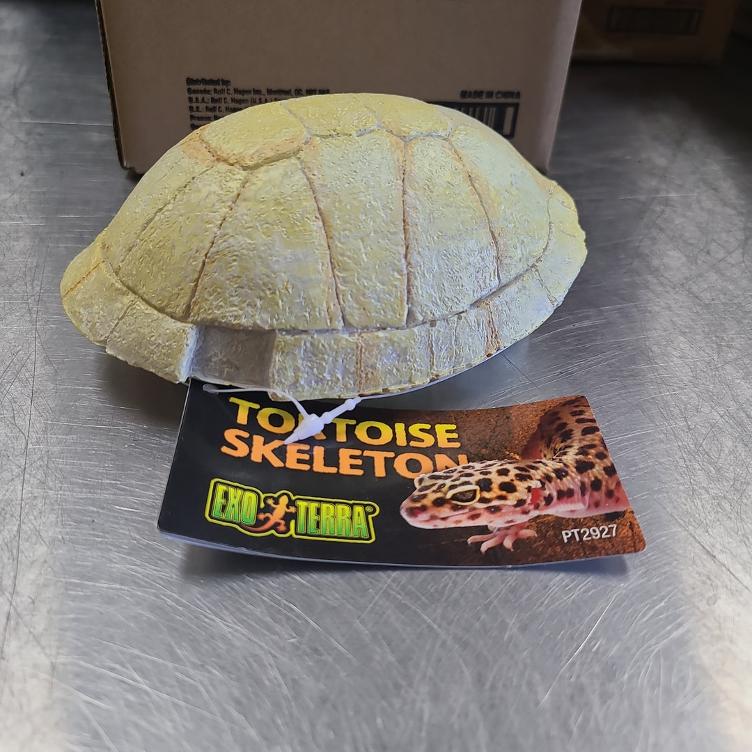 Exo Terra Tortoise Skeleton