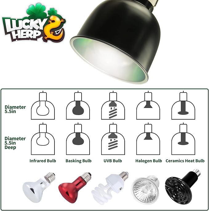 Lucky Herp Dome Light Fixture (See Sizes)
