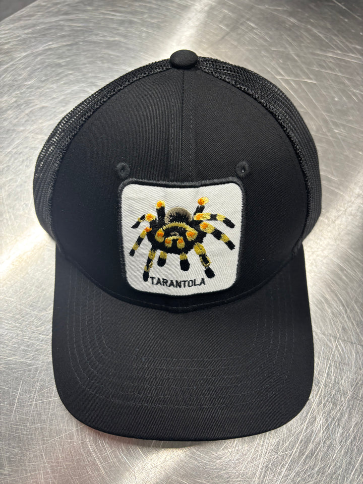 Invertebrate Hats