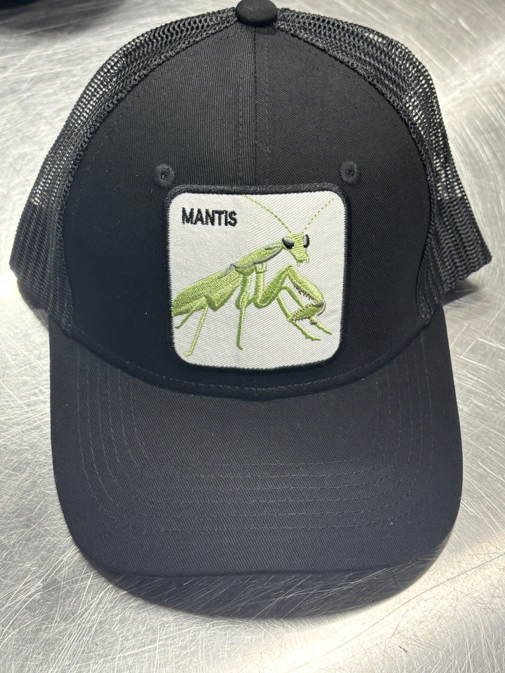 Invertebrate Hats