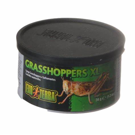 Exo Terra Grasshoppers XL 1.2 oz.