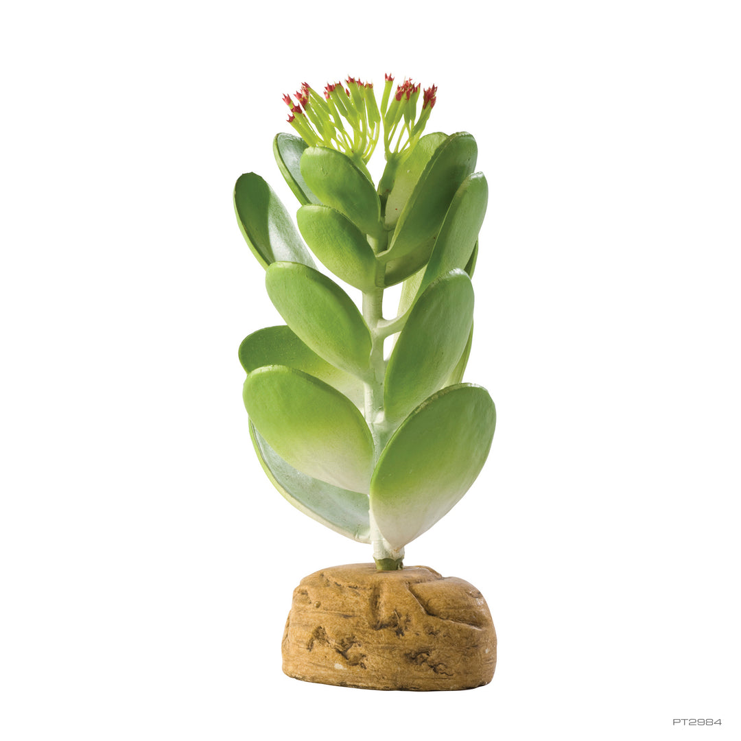 exo terra anthurium bush Exo Terra Standing Plants – Spider Shoppe