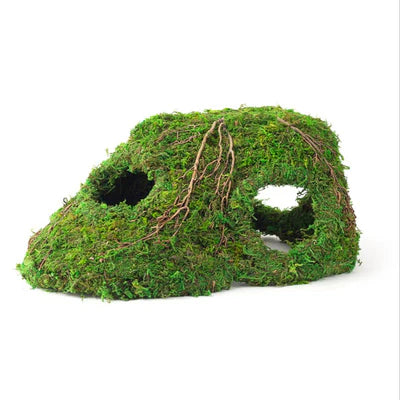Galapagos Mossy Corner Hide
