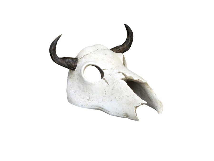 Catacombs Longhorn Skull