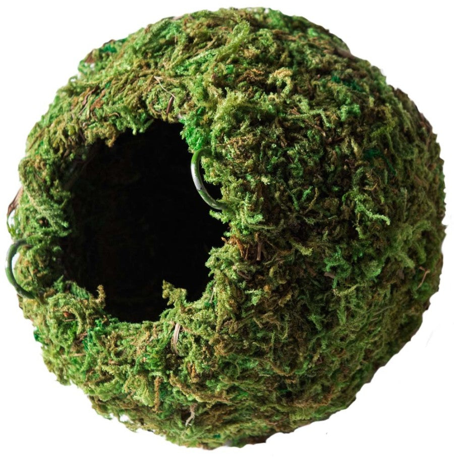 Galapagos Mossy Cave Terrarium Hideaway 4"