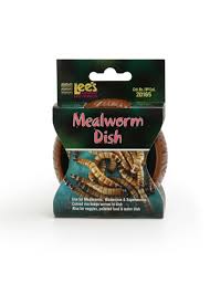 Lee's Mealworm Dish