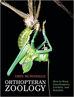 Orthopteran Zoology | How to Keep Grasshoppers, Crickets, and Katydids by Orin McMonigle