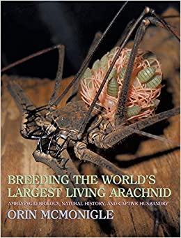 Breeding the World's Largest Living Arachnid | Amblypygid Biology, Natural History, and Captive Husbandry by Orin McMonigle