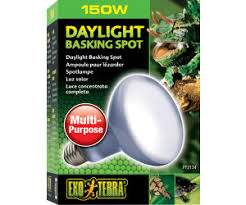 Exo Terra Daylight Basking Spot Lamp - R25 / 100 W