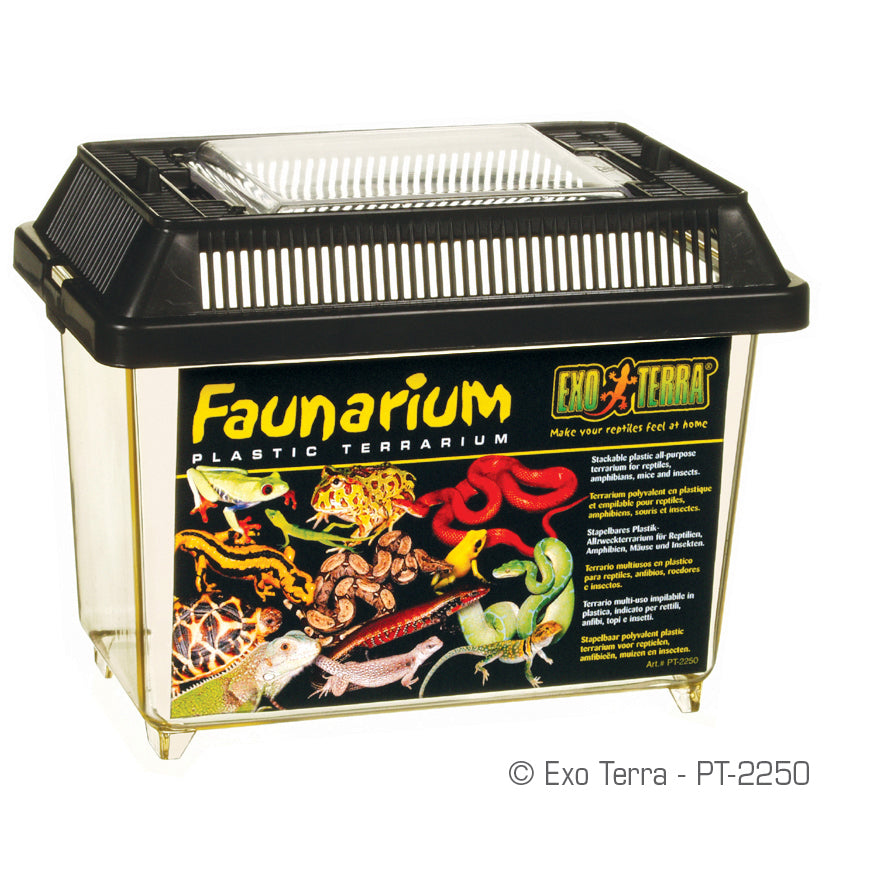 Exo Terra Faunarium - 180 x 110 x 125mm, 7in x 4in x 5in