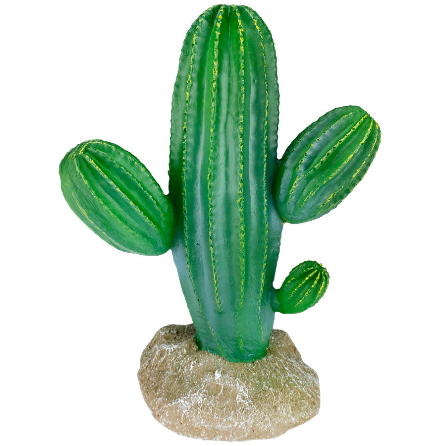 KOMODO CactusPlant Saguaro9.5in